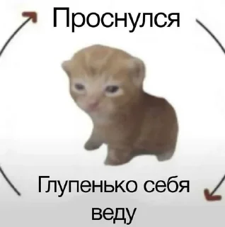 🌟 emoji Ккк Telegram sticker 21 of 24