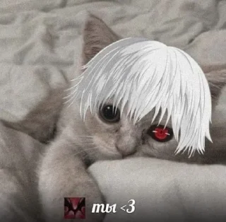 🌟 emoji Кошки топ Telegram sticker 6 of 89