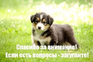 🌟 emoji я не стадо Telegram sticker 23 of 51