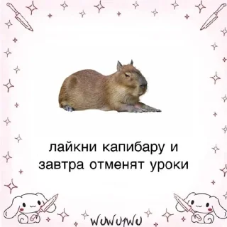 🙆‍♀ emoji KAPIBARY Telegram sticker 17 of 20