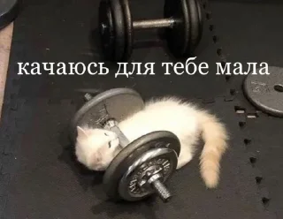 😎 emoji кончене Telegram sticker 9 of 120