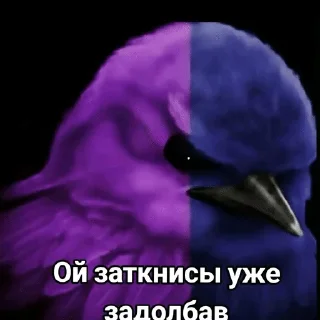🌟 emoji Разноцветные птички Telegram sticker 15 of 120