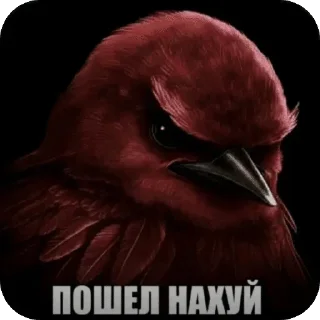🌟 emoji Красные птички Telegram sticker 16 of 116