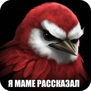 🐦 emoji Красные птички Telegram sticker 11 of 116