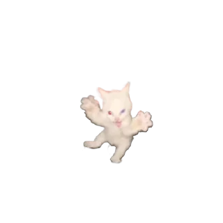 🐱 emoji шлюха Telegram sticker 24 of 27