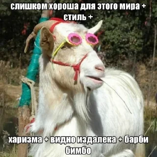 🎀 emoji дахакарунская ферма Telegram sticker 19 of 35