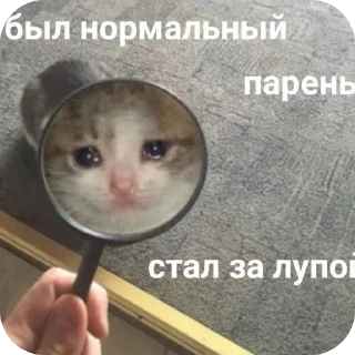 Sticker from Пупупу