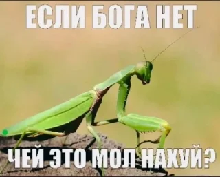 🌟 emoji Хуйня какая то Telegram sticker 7 of 120