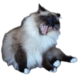 😫 emoji лютик Telegram sticker 20 of 35