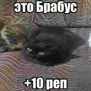 🌟 emoji Кабан Telegram sticker 5 of 43