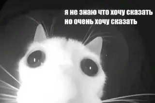 🌟 emoji котейки Telegram sticker 21 of 63