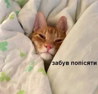 😴 emoji ฅ⁠^⁠•⁠ﻌ⁠•⁠^⁠ฅ Telegram sticker 20 of 59