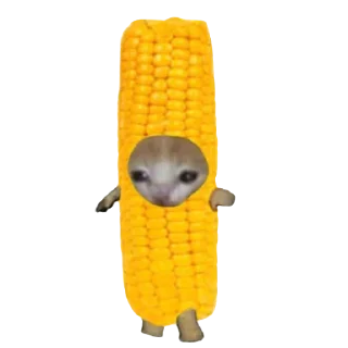 🌽 emoji Котики♡ Telegram sticker 20 of 100