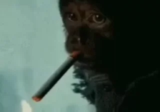 🚬 emoji дурашка Telegram sticker 8 of 24