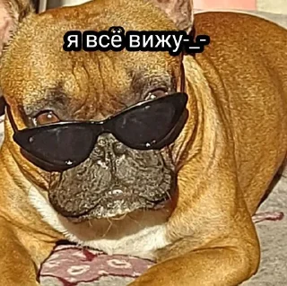 🧐 emoji Жора Telegram sticker 22 of 61