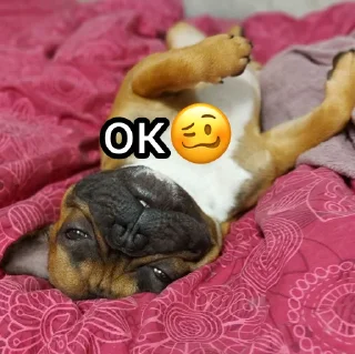 🥴 emoji Жора Telegram sticker 16 of 61