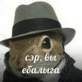 🤨 emoji Токсик Telegram sticker 23 of 42