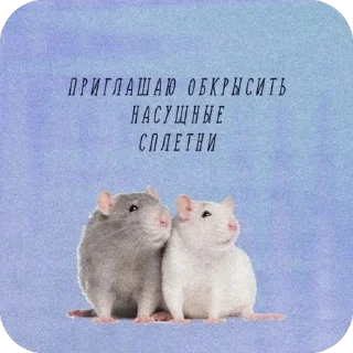 🐀 emoji Red Telegram sticker 8 of 25