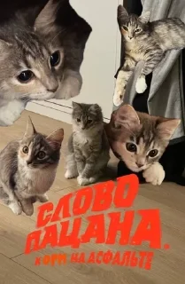 Sticker from шмелиное кафе 🐝