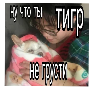 🐶 emoji писят ✌️ @wysxu Telegram sticker 16 of 37