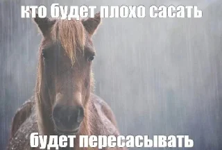 Sticker from Абоба