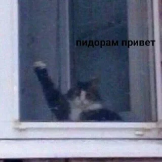 😁 emoji ёпаш мать Telegram sticker 10 of 38