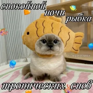 😴 emoji утро и ночь Telegram sticker 20 of 119