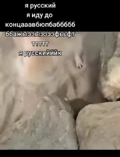 Sticker from Тушканчик