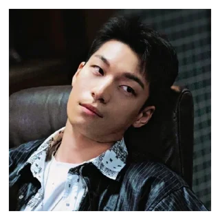 🟥 emoji wi ha joon / westternn Telegram sticker 15 of 61