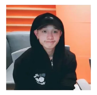 👶 emoji дети skz 👼🏻 Telegram sticker 17 of 70