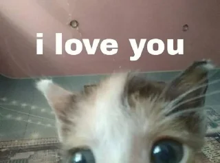 💗 emoji шаболда Telegram sticker 6 of 41