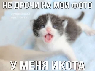 🌟 emoji ТЫ ЧЕ ГОВНА СОЖРАЛ Telegram sticker 11 of 76