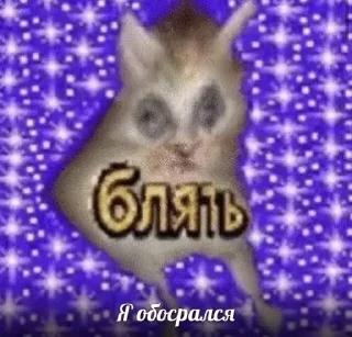 👹 emoji котёночек Telegram sticker 14 of 50