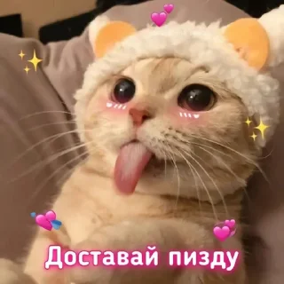 Sticker from Стикеры 👉 @animokubot