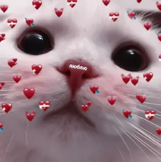 🍓 emoji ◍˚₊🏹⿻. jisung ᝰ @chaenniex ◍˚₊💌⿻. Telegram sticker 24 of 60