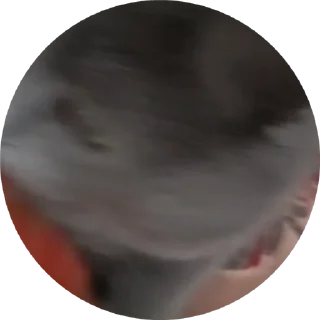 Sticker from Barsic video🐈🐈🐈