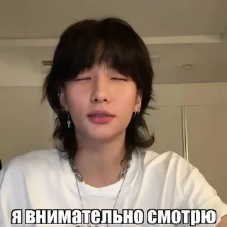 🌟 emoji @riahwanglee hyunjin live2 Telegram sticker 23 of 55