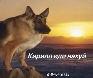 🌟 emoji Челики Telegram sticker 20 of 27
