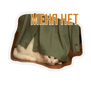 🌟 emoji Бусенки Telegram sticker 17 of 51