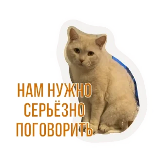 🌟 emoji Бусенки Telegram sticker 10 of 51