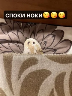 🌟 emoji Александр Telegram sticker 11 of 94