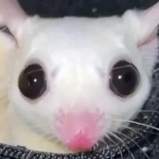 😀 emoji ебаное китайское казино Telegram sticker 5 of 50