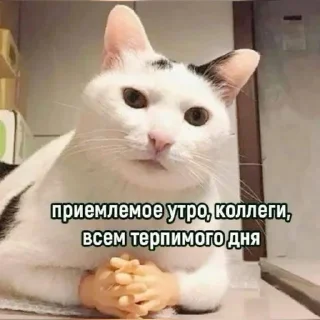 🌟 emoji рабочий вайб Telegram sticker 19 of 51