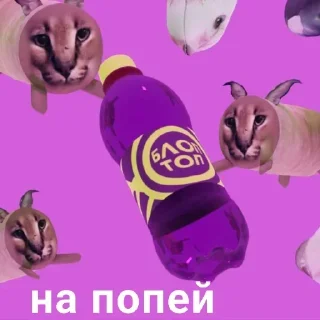 📦 emoji флоптоп @any_stick @emojis4 Telegram sticker 20 of 120