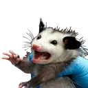 😟 emoji Ох уж эти опоссумы @gogdnota Telegram sticker 14 of 45