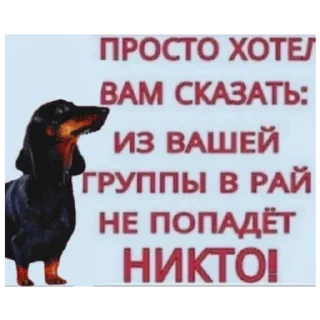 🙃 emoji я твоя мама Telegram sticker 24 of 30