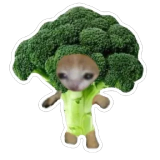 🥦 emoji catss Telegram sticker 22 of 91