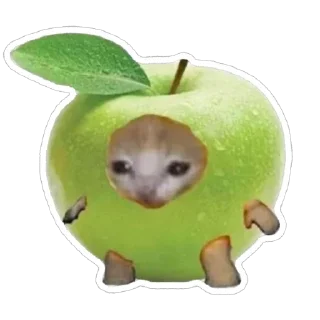 Sticker from catss