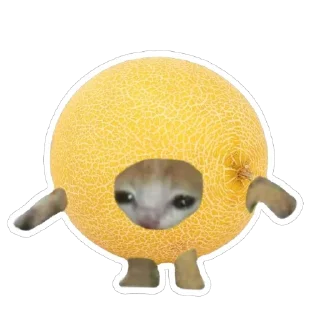 🍈 emoji catss Telegram sticker 12 of 91