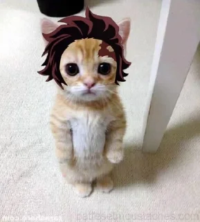 🌟 emoji Энму педофил Telegram sticker 7 of 11